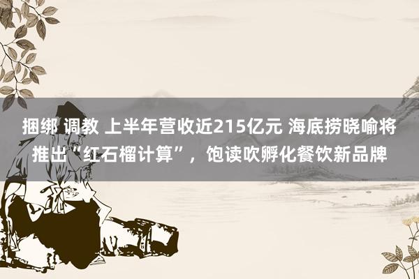 捆绑 调教 上半年营收近215亿元 海底捞晓喻将推出“红石榴计算”，饱读吹孵化餐饮新品牌