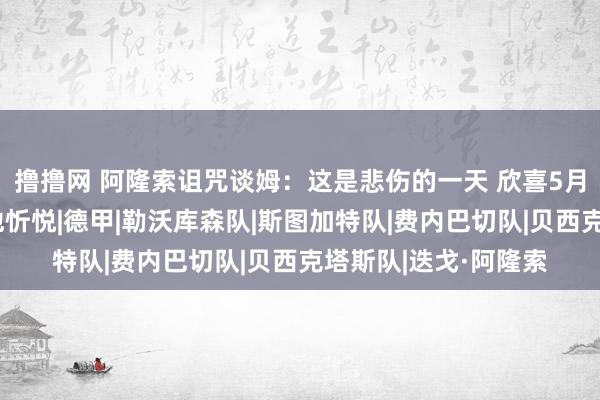 撸撸网 阿隆索诅咒谈姆：这是悲伤的一天 欣喜5月曾和他庆祝夺冠让他忻悦|德甲|勒沃库森队|斯图加特队|费内巴切队|贝西克塔斯队|迭戈·阿隆索