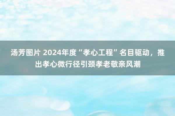 汤芳图片 2024年度“孝心工程”名目驱动，推出孝心微行径引颈孝老敬亲风潮