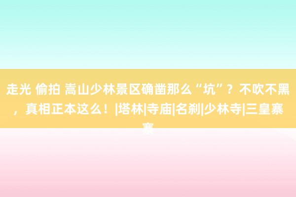 走光 偷拍 嵩山少林景区确凿那么“坑”？不吹不黑，真相正本这么！|塔林|寺庙|名刹|少林寺|三皇寨