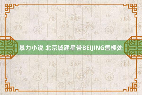 暴力小说 北京城建星誉BEIJING售楼处