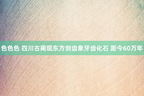 色色色 四川古蔺现东方剑齿象牙齿化石 距今60万年