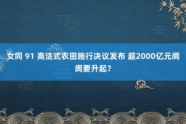 女同 91 高法式农田施行决议发布 超2000亿元阛阓要升起？